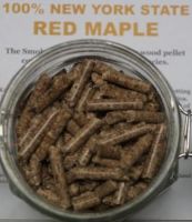 NYS Red Maple
